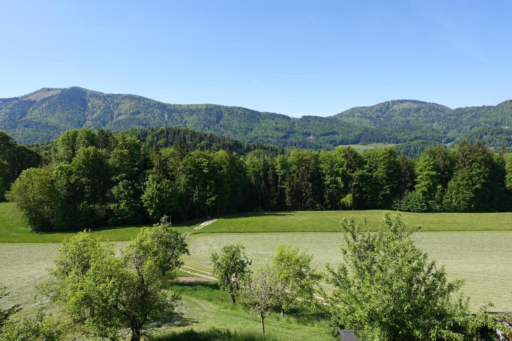 Leitingerhof Villa Thalgau Eksteriør bilde